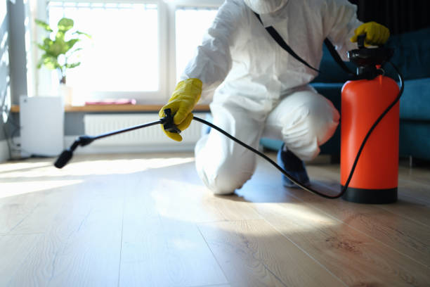 Reliable Infectious Disease Decontamination contractor in Byron, CA by Trauma Clean Pros